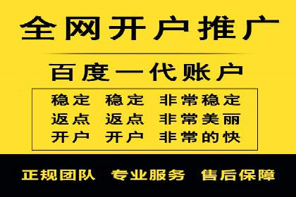 百度推广代运营案例：案例分享：打造行业领军品牌