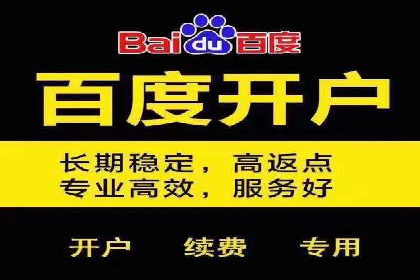 SEO与SEM优化案例：助力企业实现品牌升级